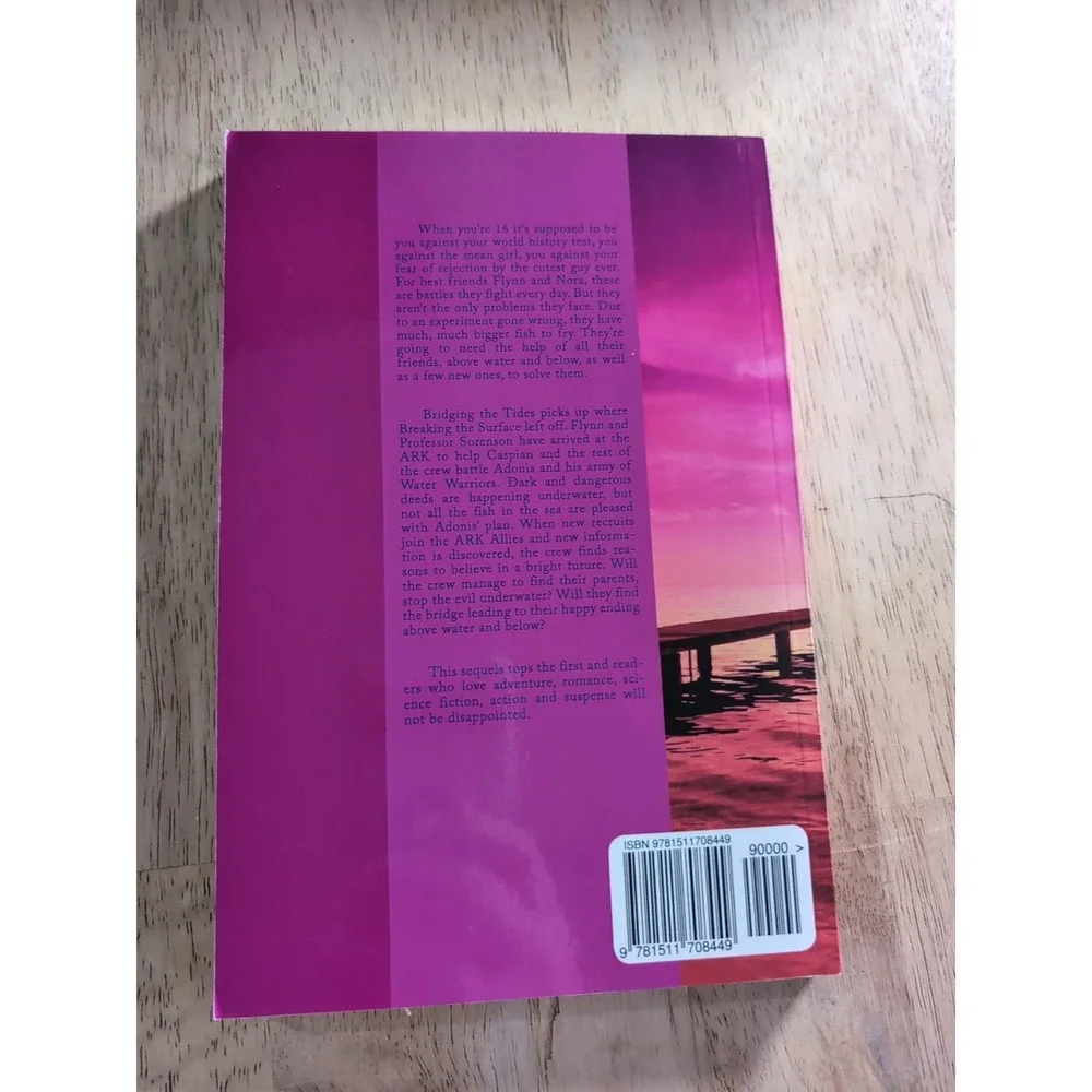Bridging the Tides by Amanda Zieba‎ (2015, Trade Paperback)