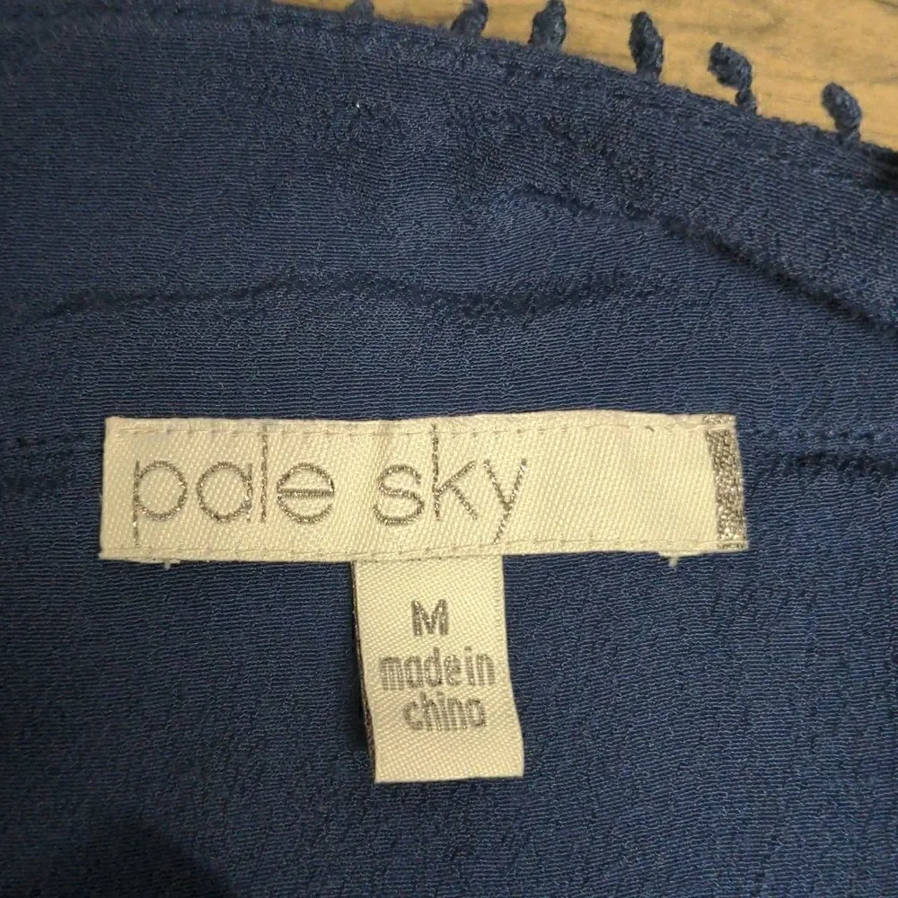 Pale Sky V Neck Blouse