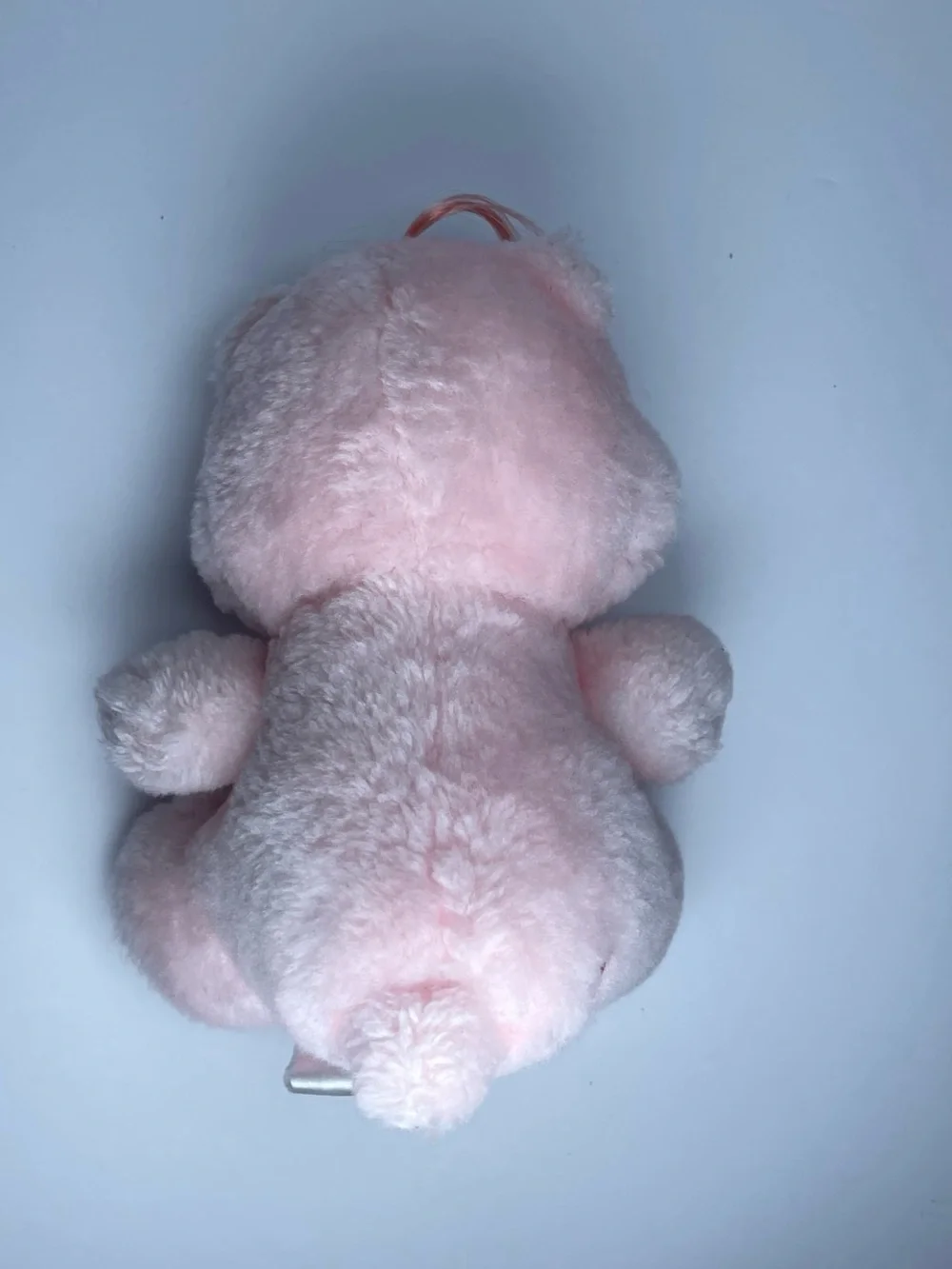 Care Bears 🤙 offers
