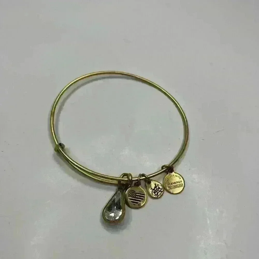 Alex and Ani timeless bangle