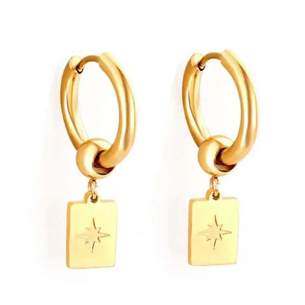 None these earrings