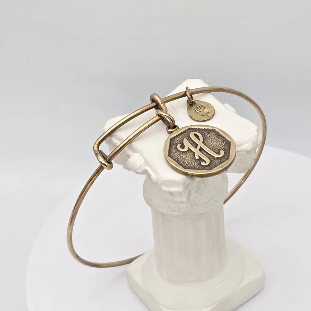 Alex and Ani item used