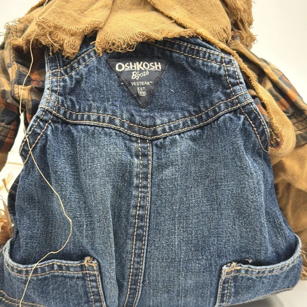 N/A ooak scarecrow
