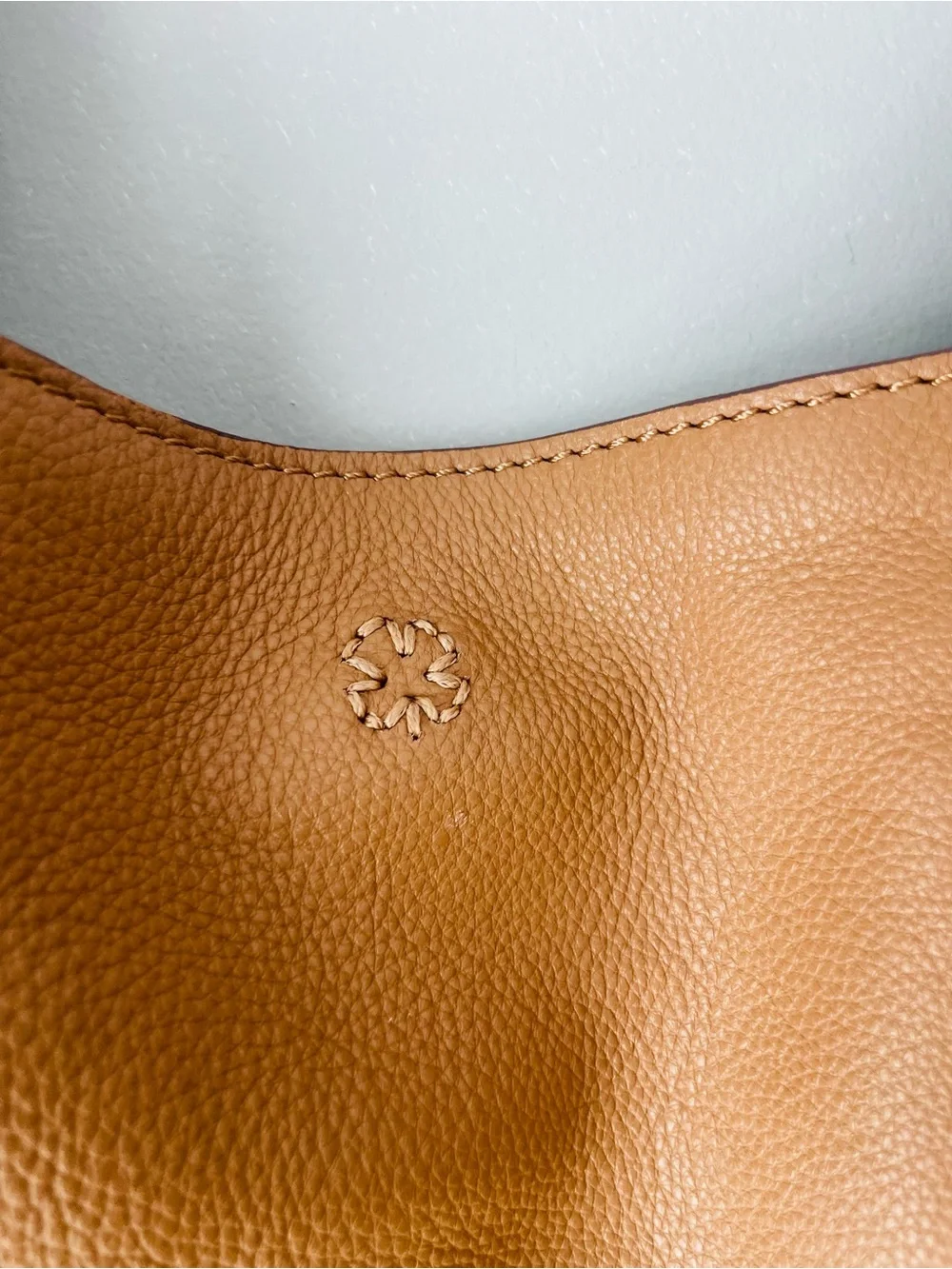 Lucky Brand Mina Leather Tote Bag with Braided Handles