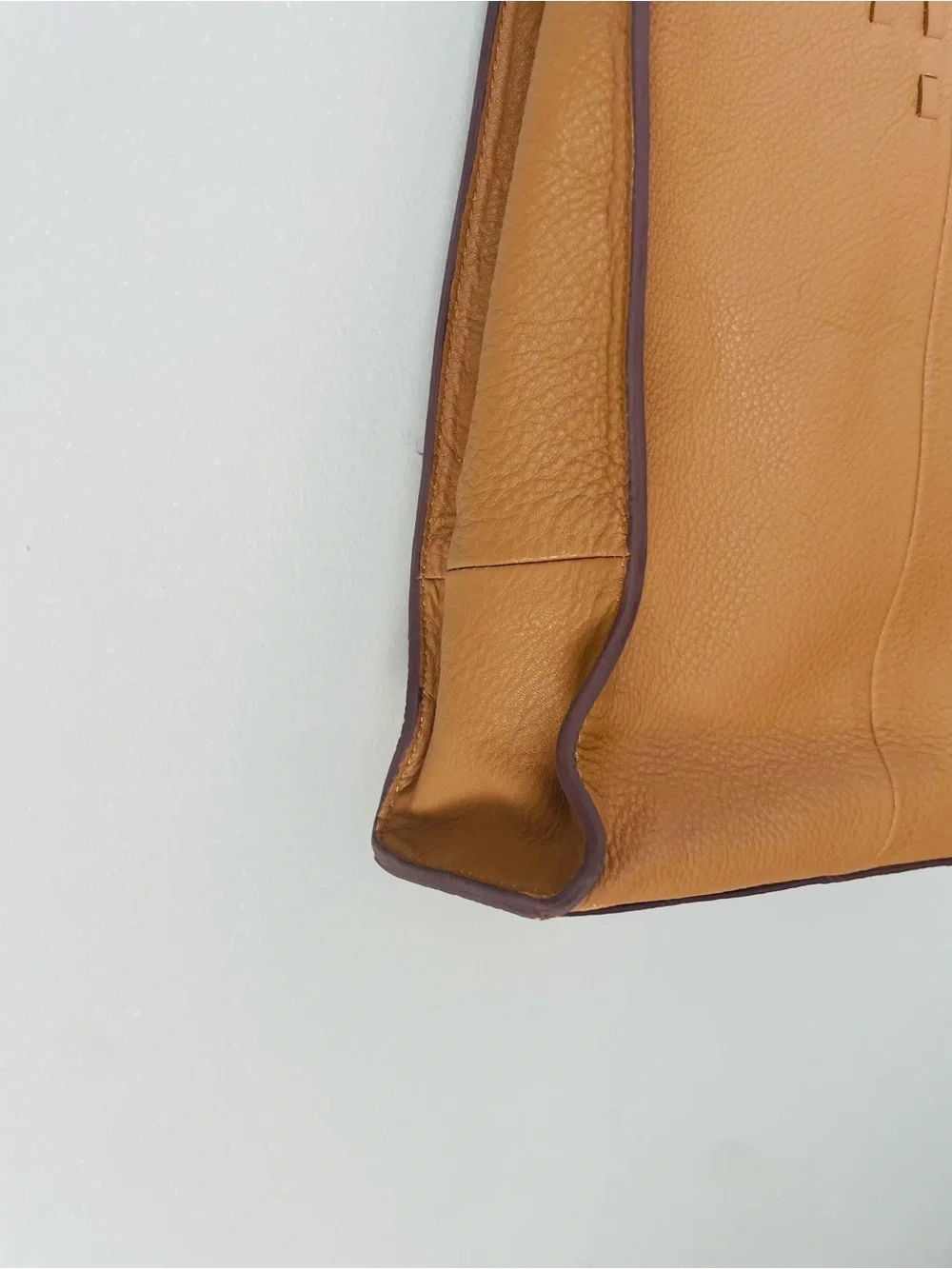 Lucky Brand Mina Leather Tote Bag with Braided Handles