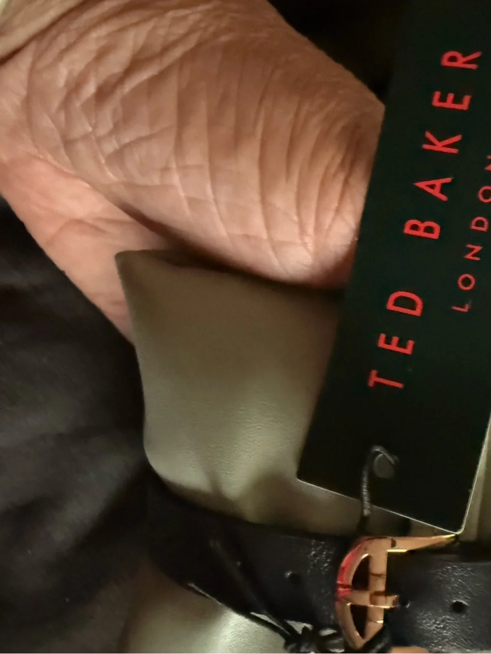Ted Baker stylish ted