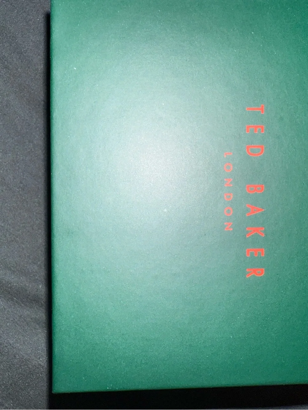 Ted Baker stylish ted