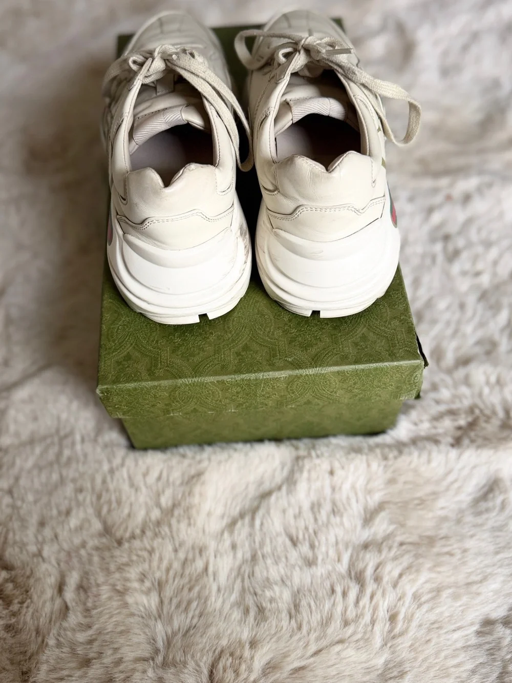 Gucci low top