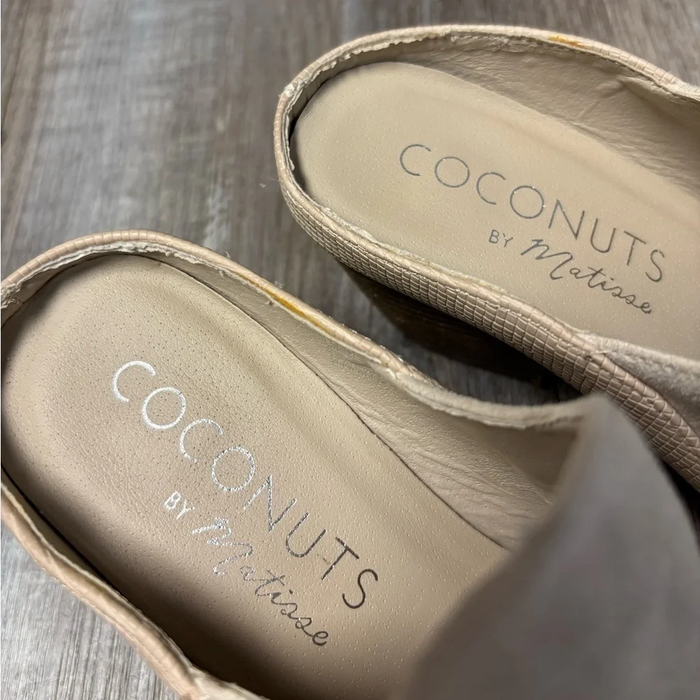 Coconuts by Matisse gently rustic