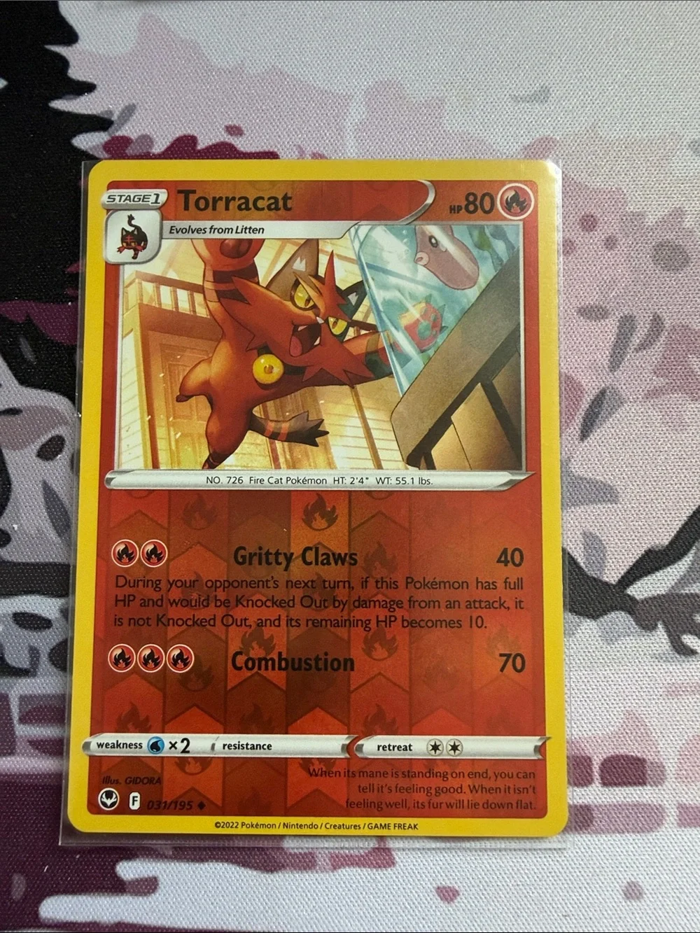 Pokemon litten torracat
