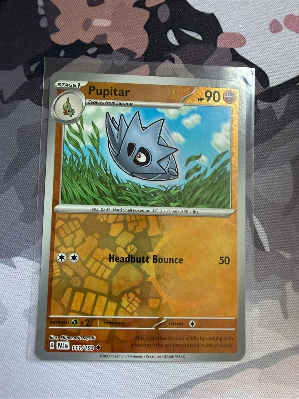 Larvitar Pupitar & Tyranitar Pokémon Evolution Holo Card Lot 🦖| 6 Cards ✨5/$25✨