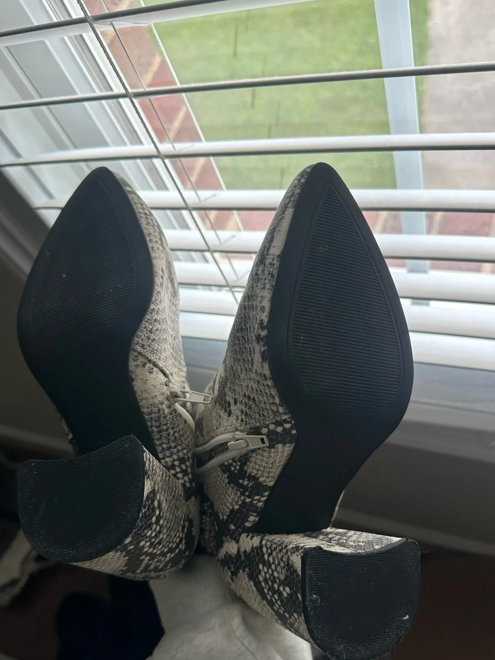 Steve Madden stylish python