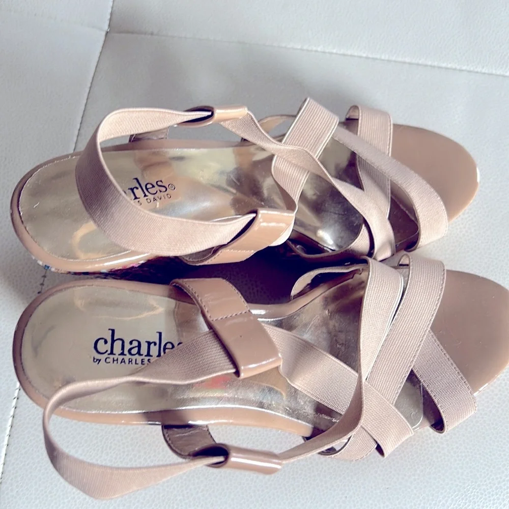 Charles by Charles David “Legit” Wedge Sandals 8 NWOT Espadrilles Stacked Heels