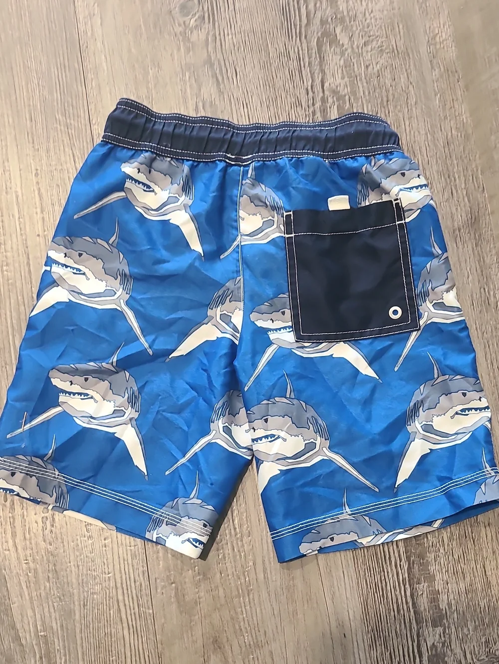 Gymboree vibrant blue