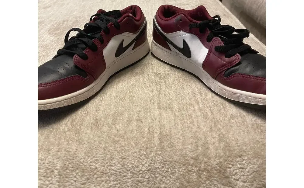 Nike Air Jordan 1 Low SE in the 