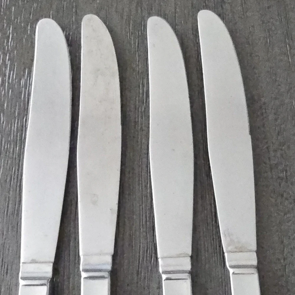 Oneida stanhome stainless