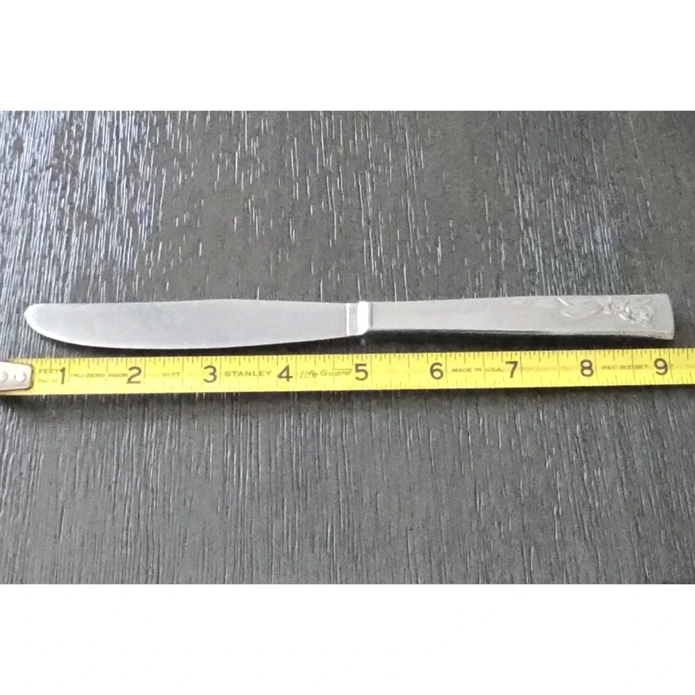 Oneida stanhome stainless