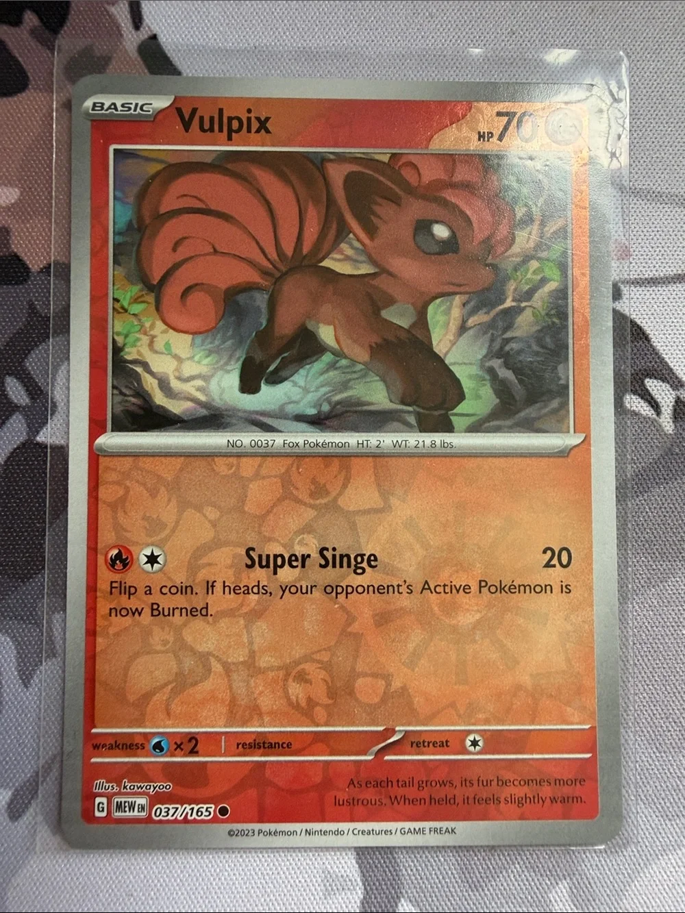 Pokemon vulpix ninetales