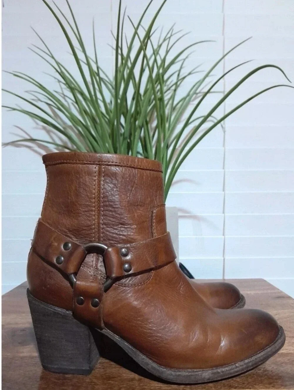 Frye classic brown