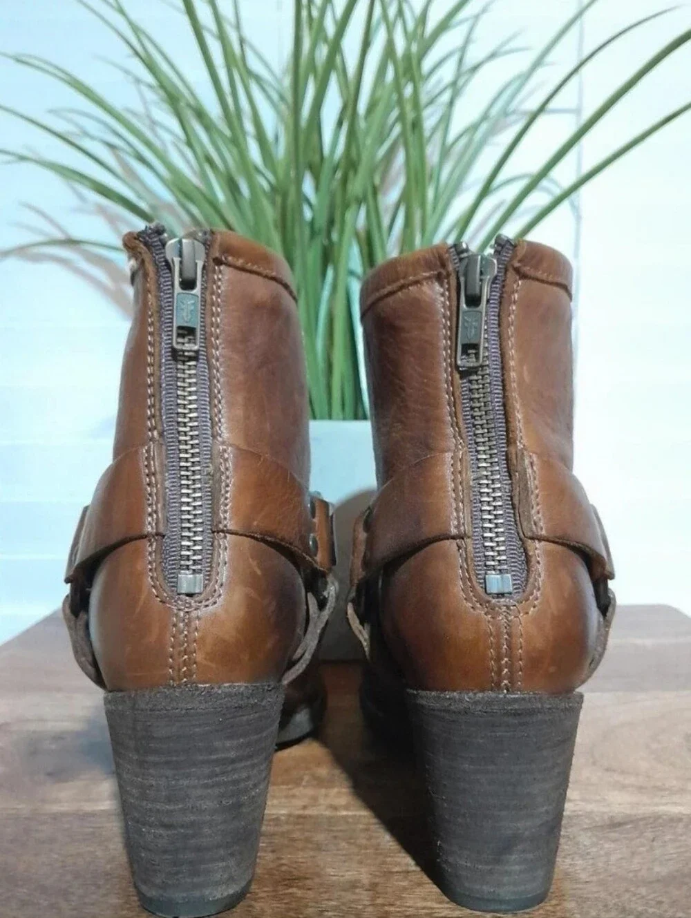 Frye classic brown
