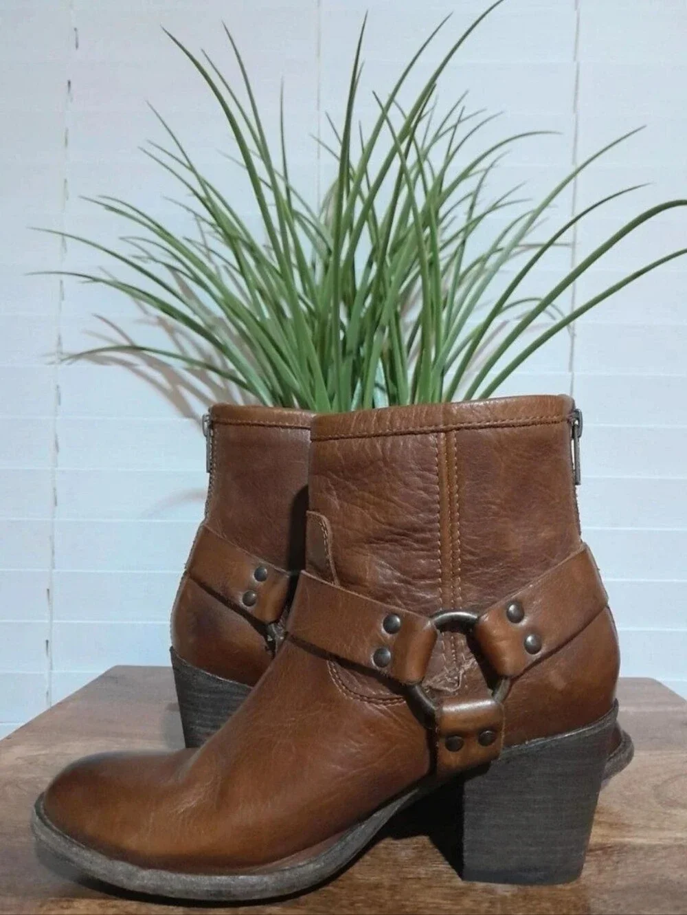 Frye classic brown