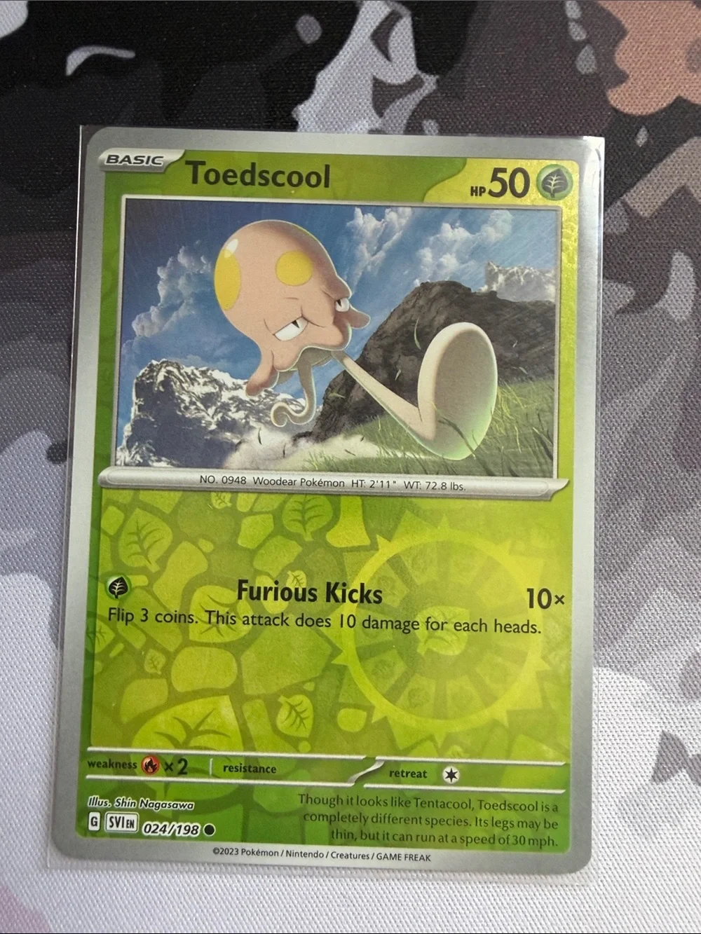 Pokemon toedscool toedscruel
