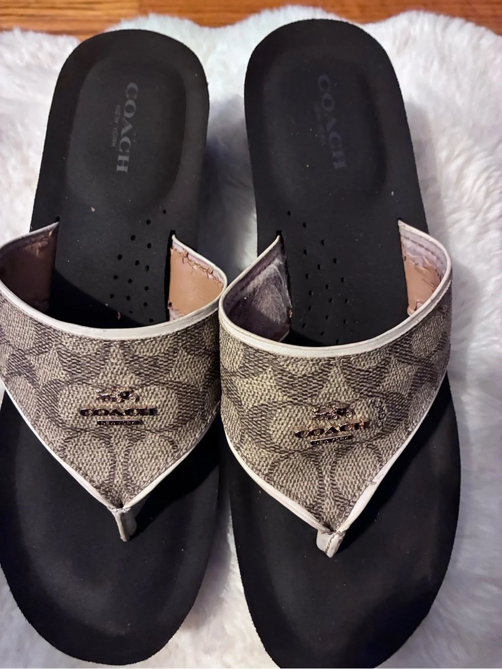Coach classic thong
