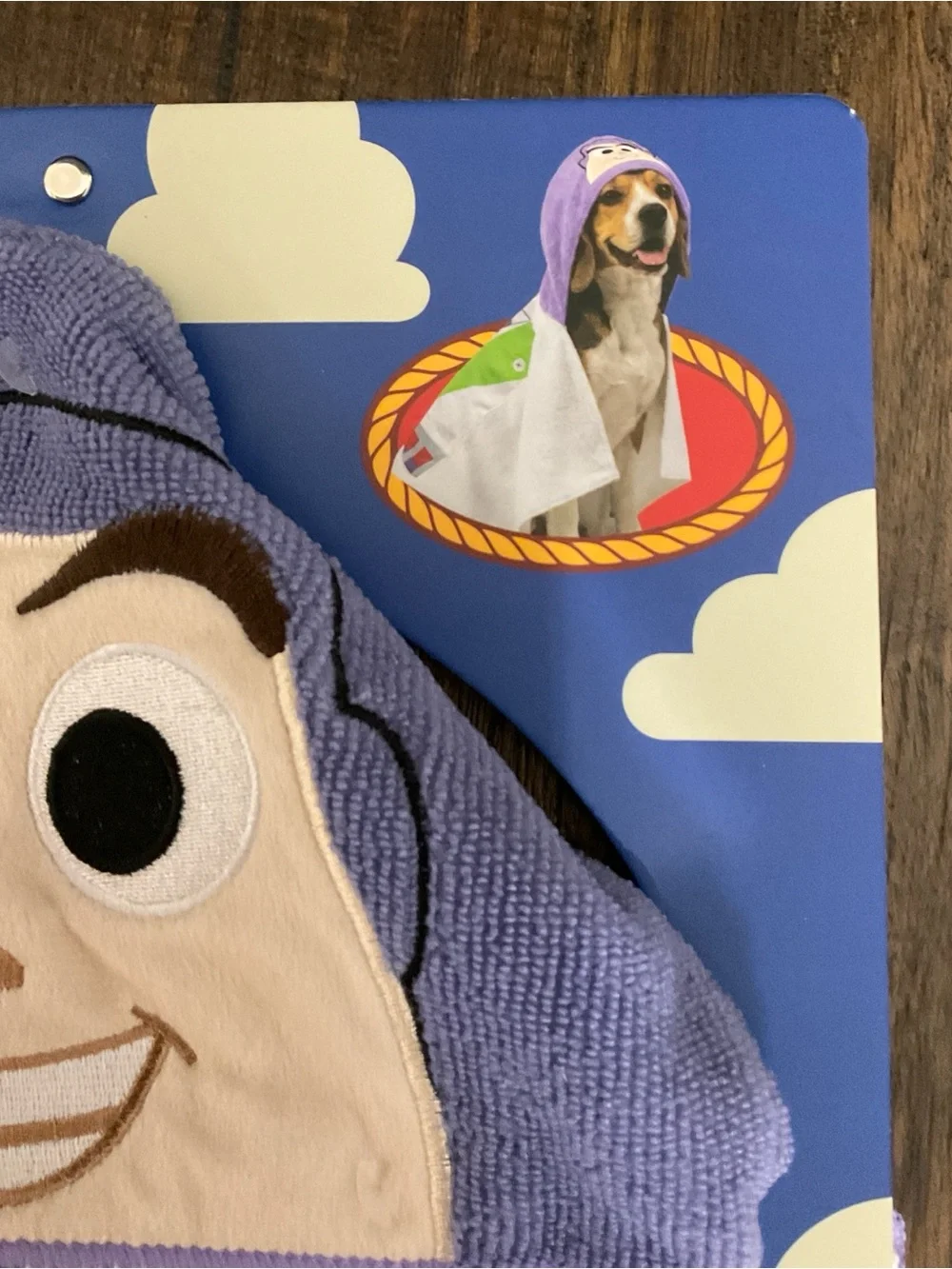 Toy Story Buzz Lightyear Hooded Pet Towel & Plush Dog Toy - Purple/White/Green