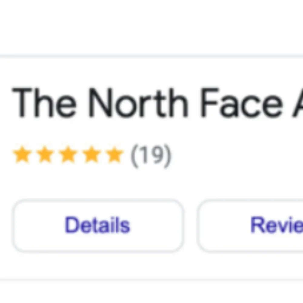 The North Face north face