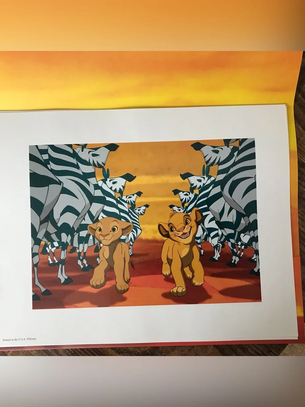 Disney set lion