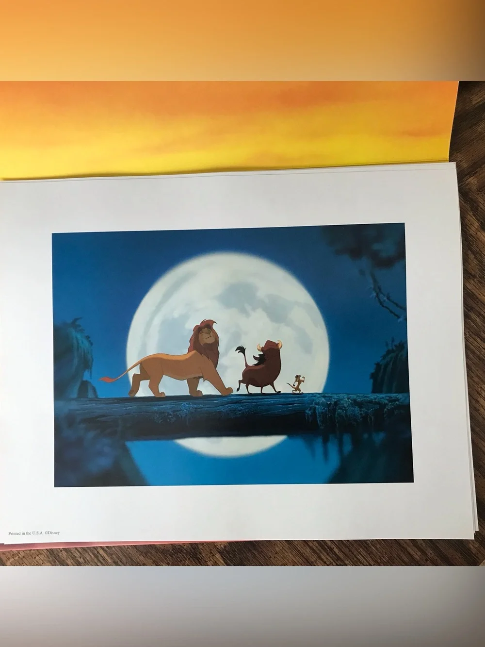 Disney set lion