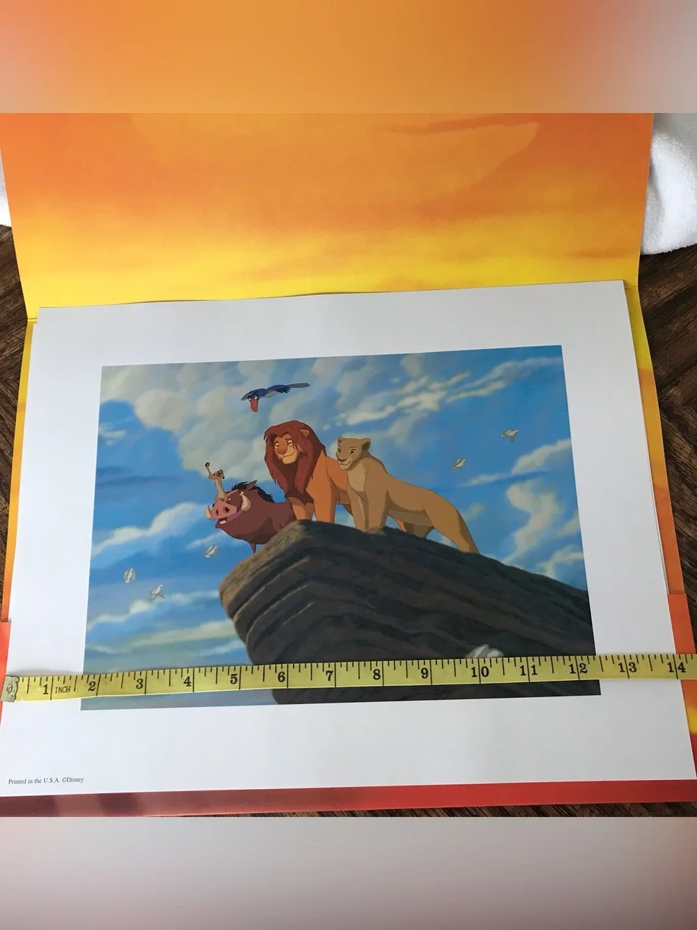 Disney set lion