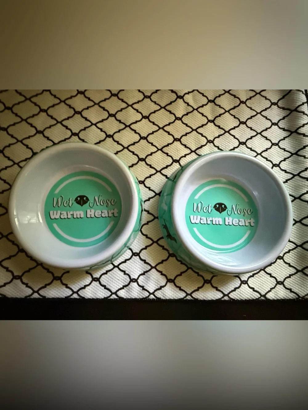 Small dog bowls - set of 2