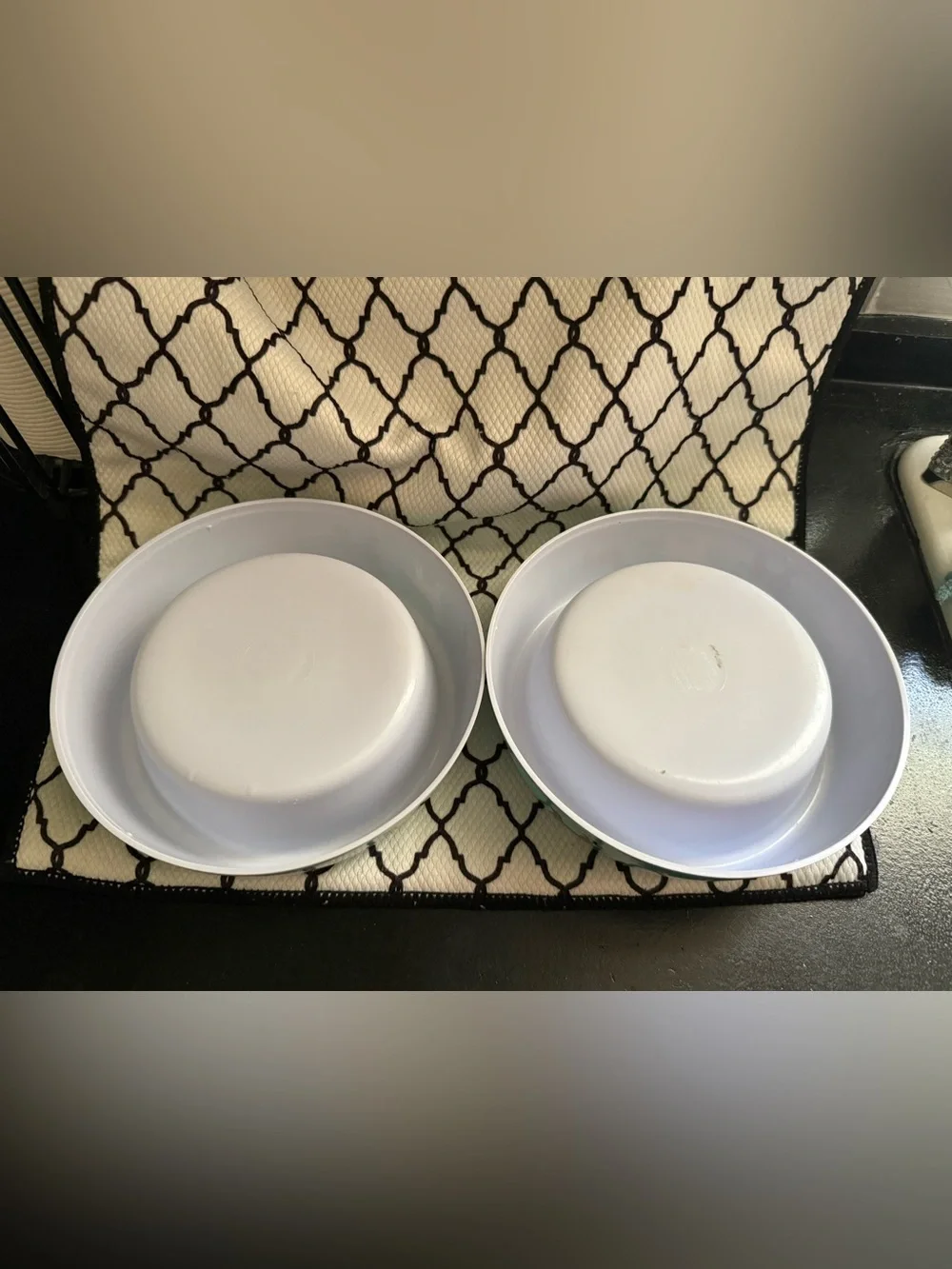 Small dog bowls - set of 2