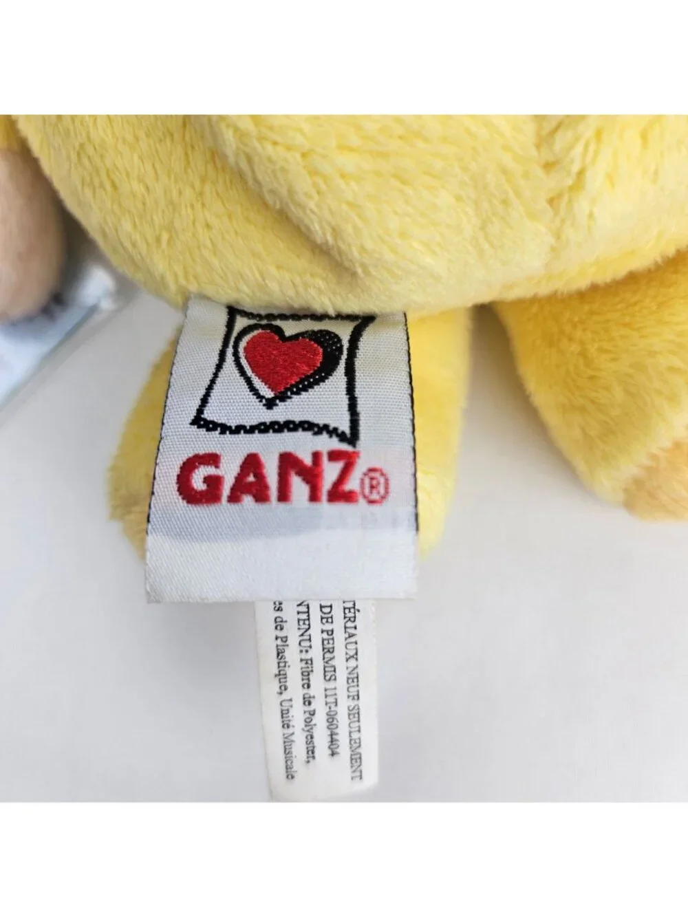GANZ experience fun