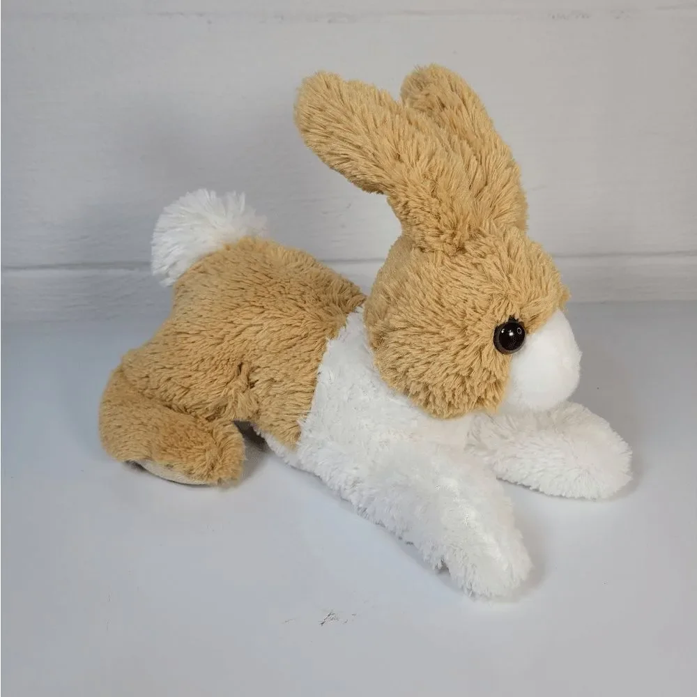 Aurora Miyoni tan dutch‎ Rabbit 12