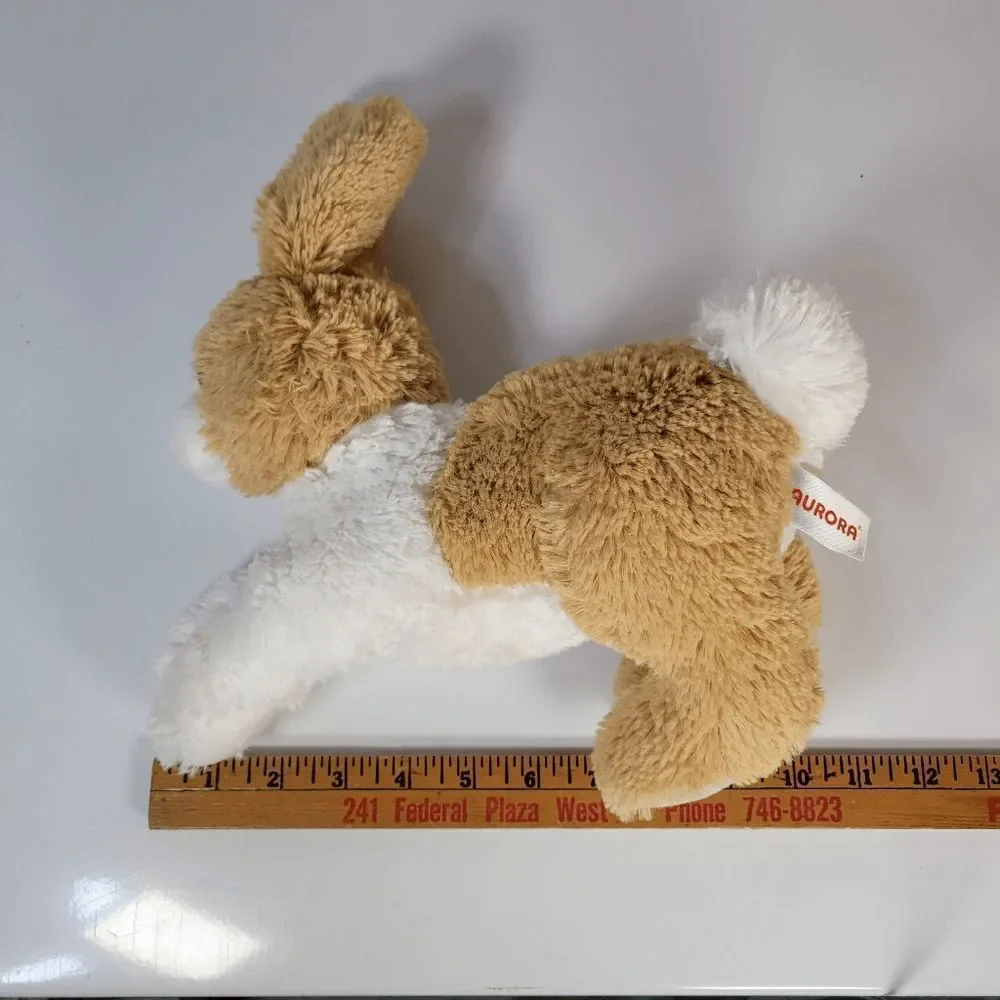 Aurora Miyoni tan dutch‎ Rabbit 12