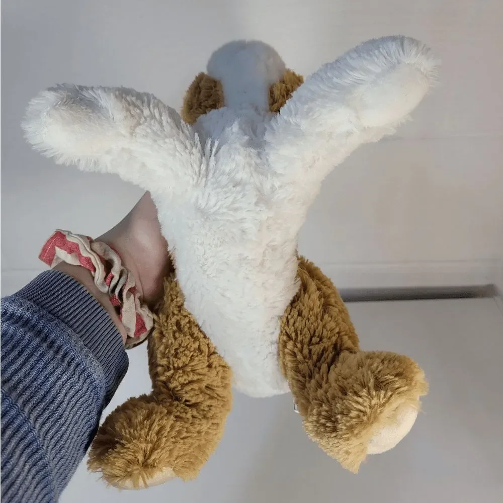 Aurora Miyoni tan dutch‎ Rabbit 12