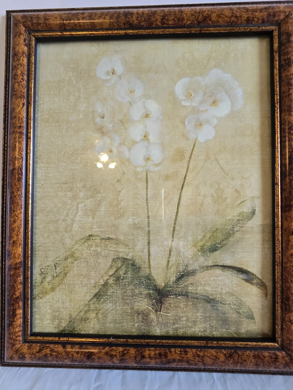 White Orchid Botanical Framed Wall Art New 12x10 Inch