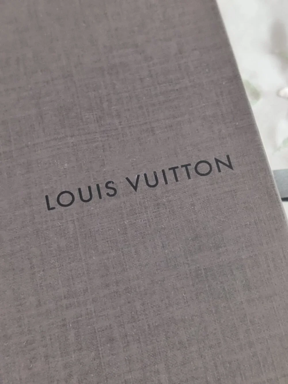 Louis Vuitton authentic louis