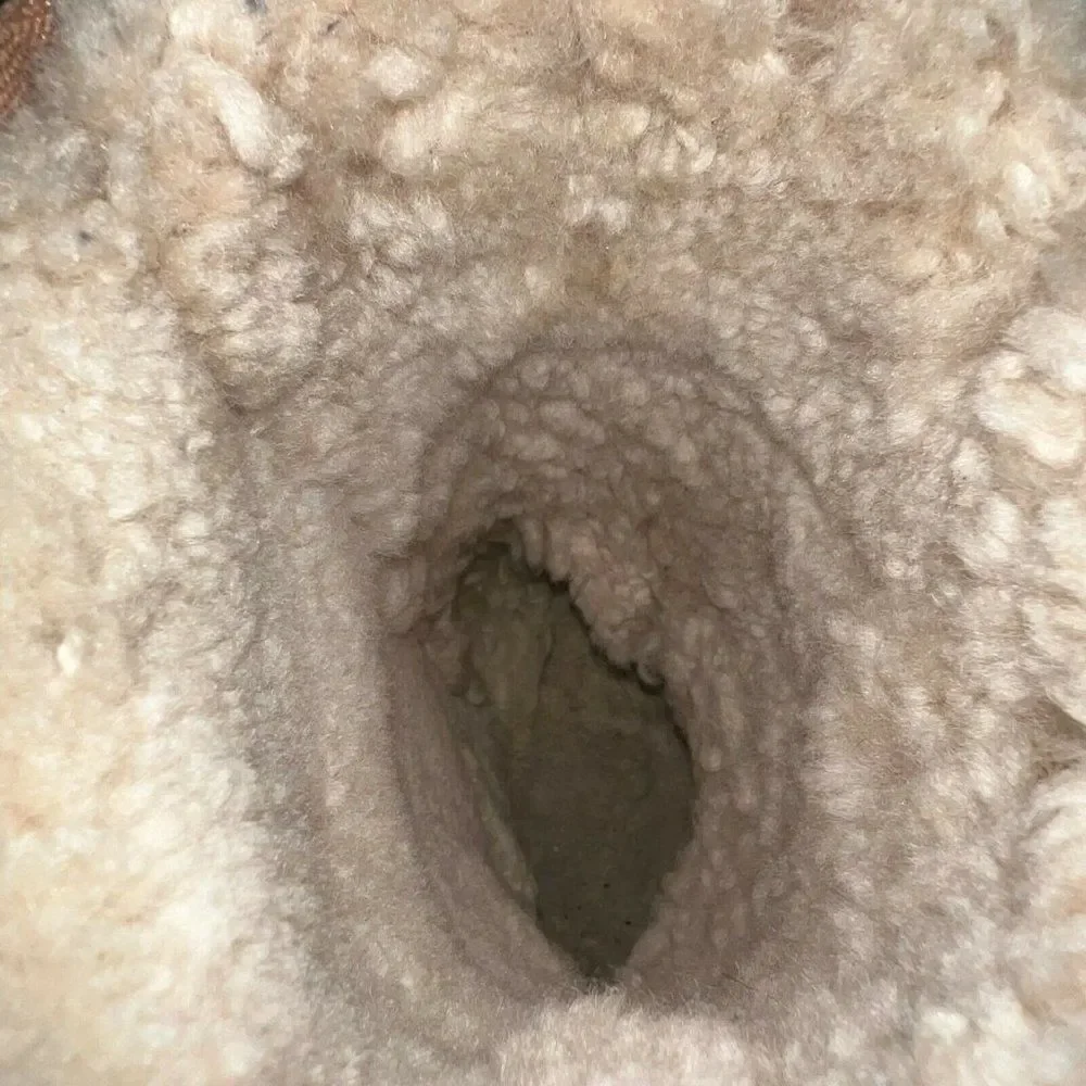 UGG brand classic
