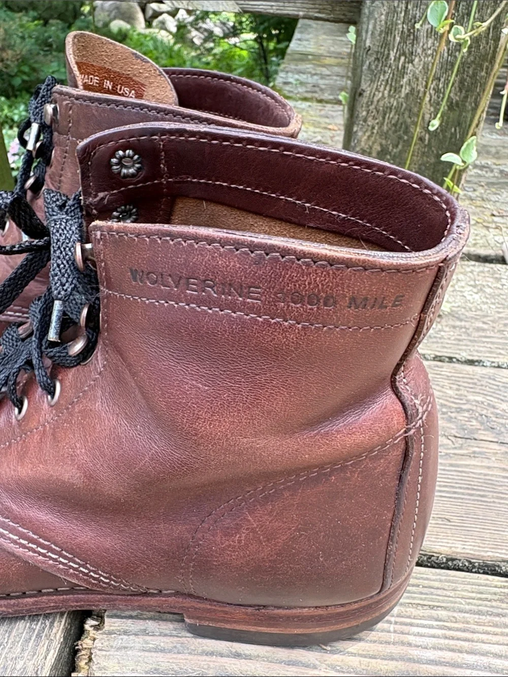 Wolverine classic lace