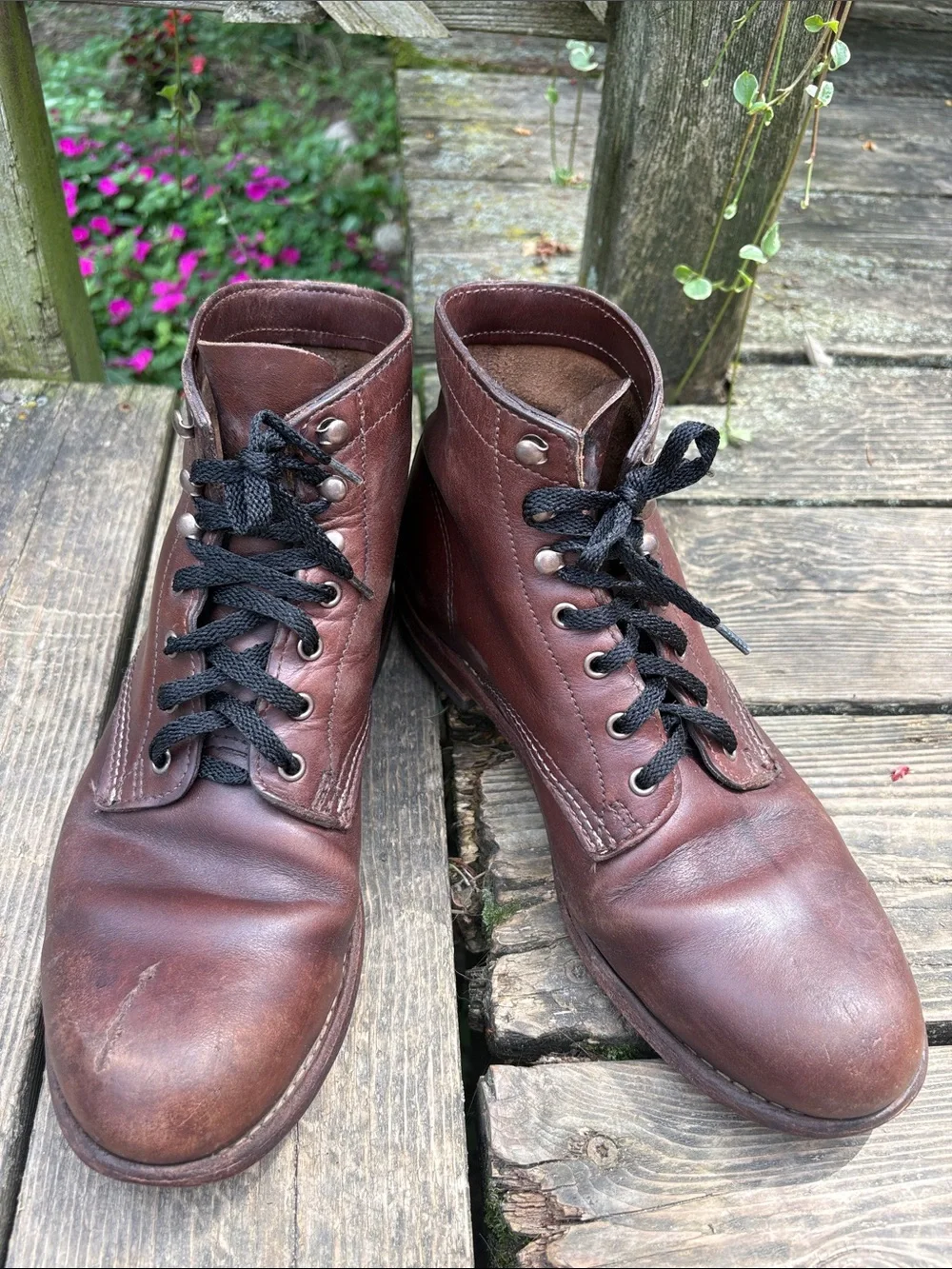 Wolverine classic lace