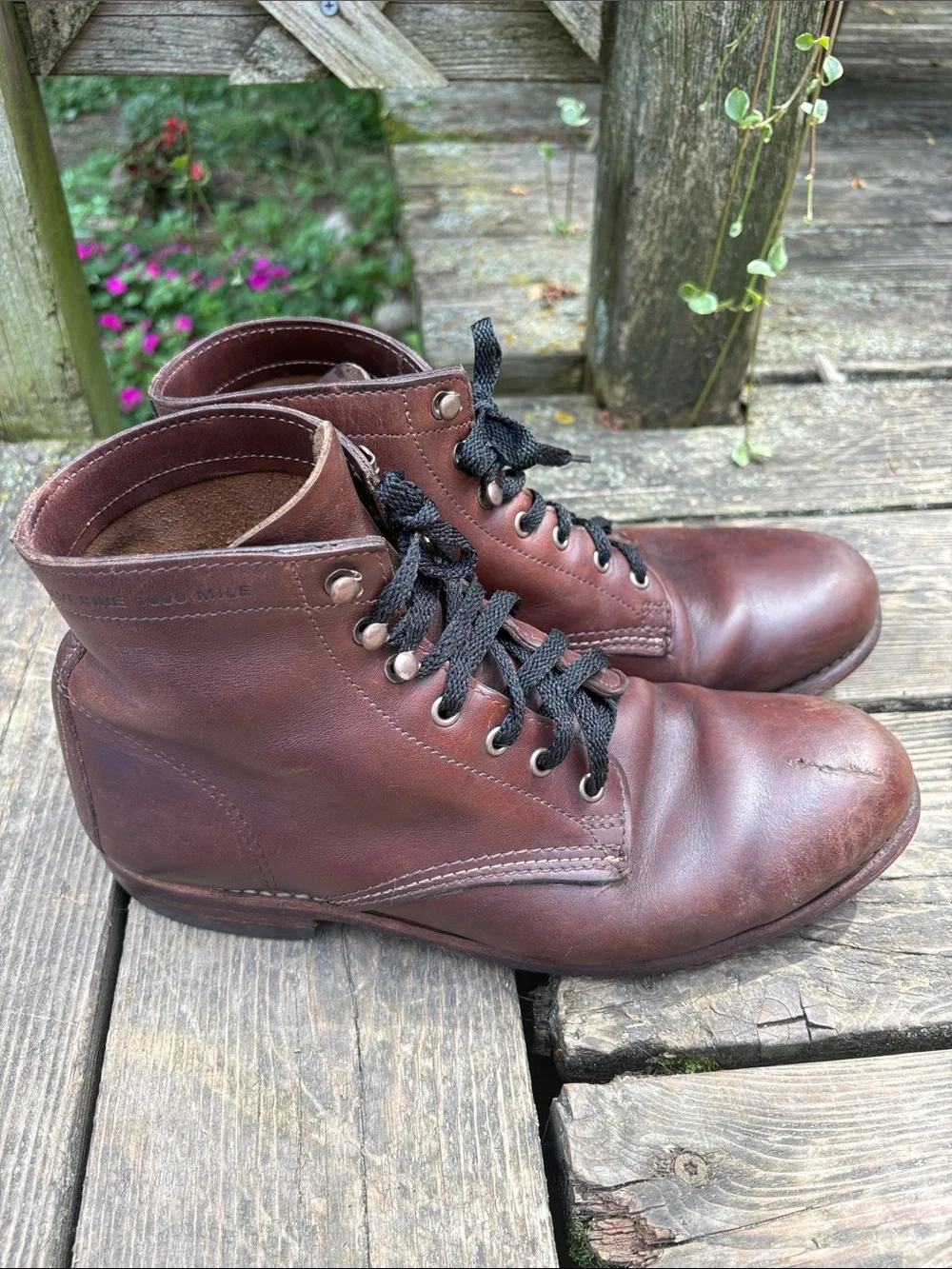 Wolverine classic lace