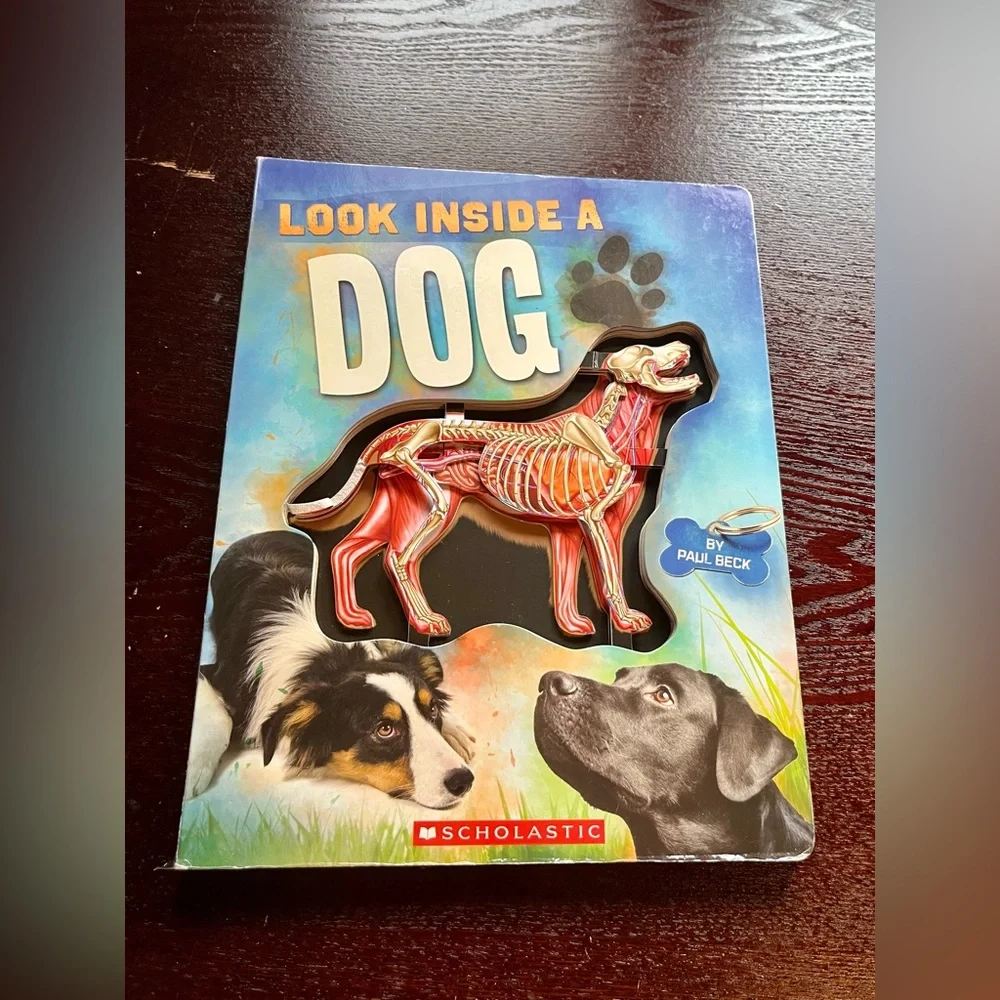 Scholastic pets dogs