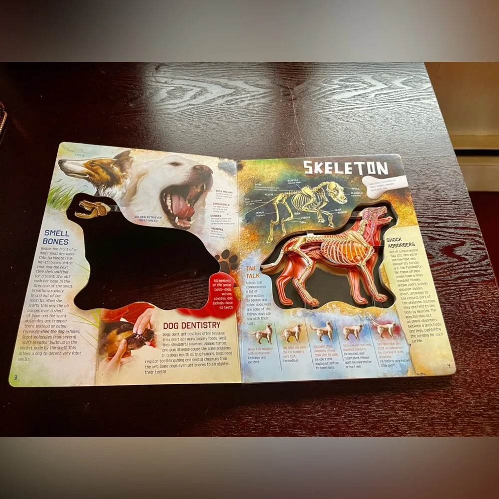 Scholastic pets dogs