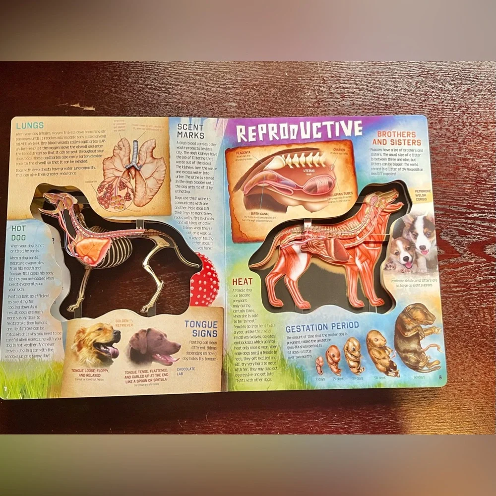 Scholastic pets dogs