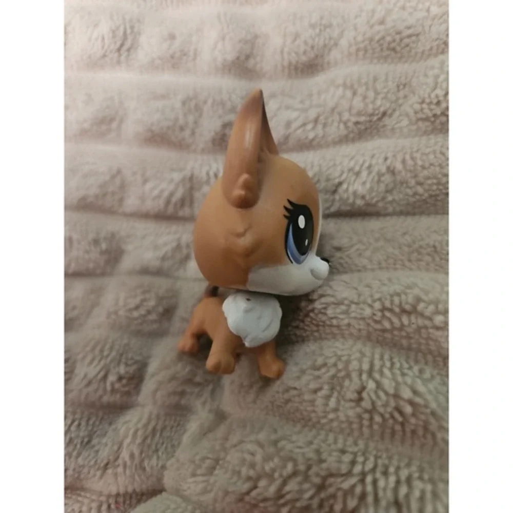Littlest Pet Shop some wear