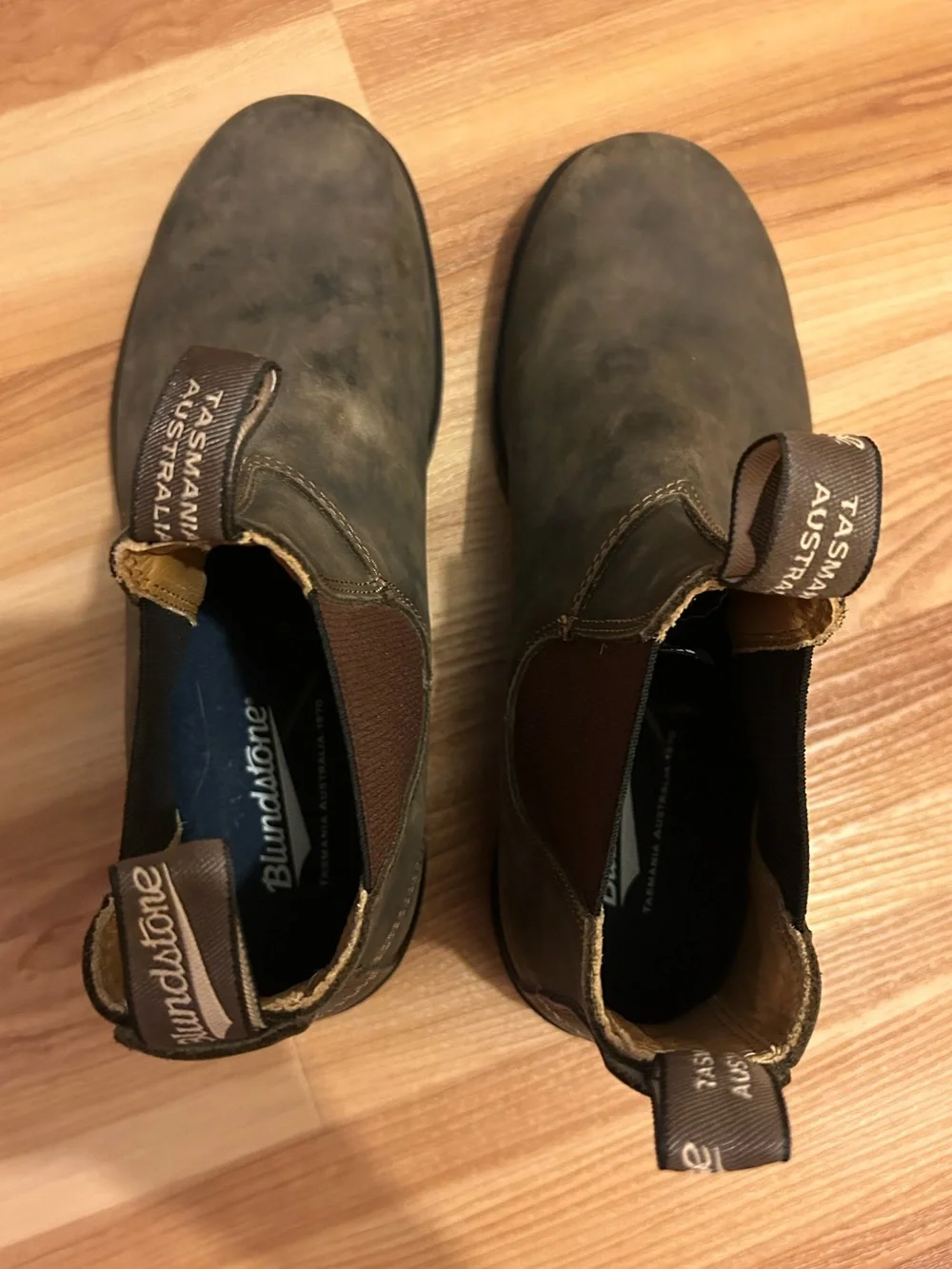 Blundstone evolution iconic