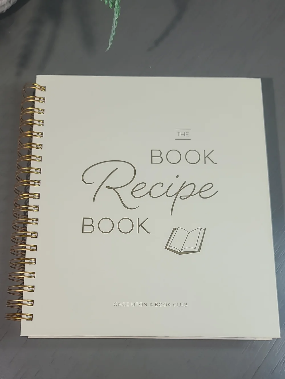Recipe Book Journal with Gold Spiral -